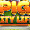 Pig City Life